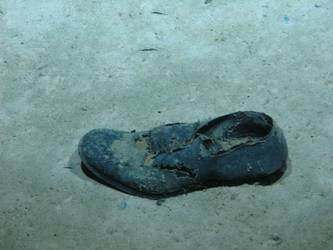 Shoe
